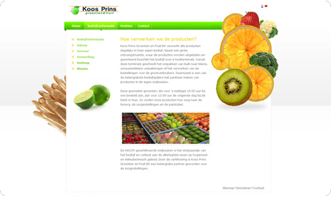 Website Koos Prins